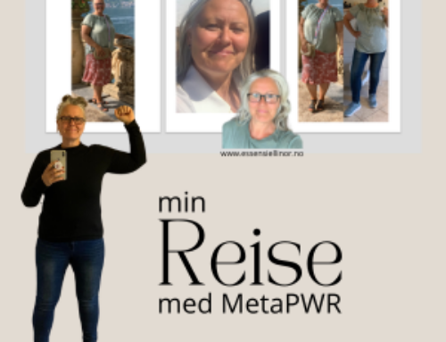 Mitt møte med MetaPWR